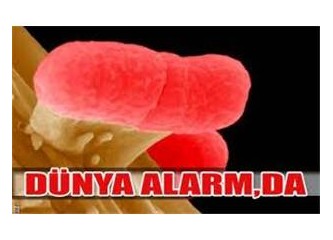 Avrupa'da EHEC salgını