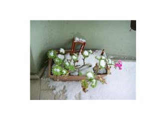 Meşhur "teknik" o köşede