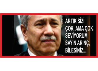 Sayın Bülent Arınç, sizi çok seviyorum artık…