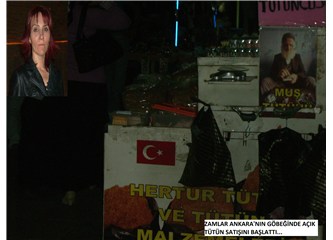 Dila Tezemir "sigara zammı kaçakçılığı tetikler, tütün satışı patlar"