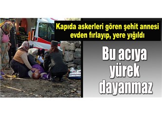 Bu fotoğraf kimin eseri?