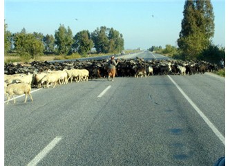 Kurban Bayramında da...