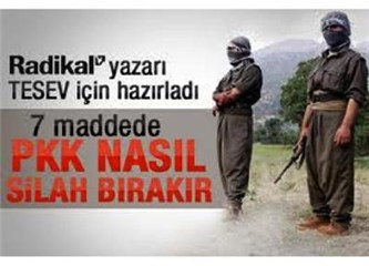 PKK Nasıl Silah Bırakır "İsyan ve Terör" 1