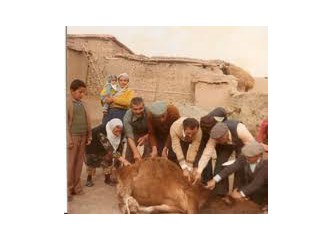Eli bıçak tutan kasap mı oluyor?