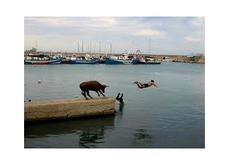 Kaç(a)mak şart!