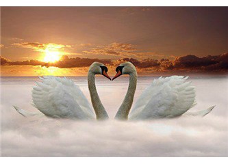 Peki ya sen kimsin ?