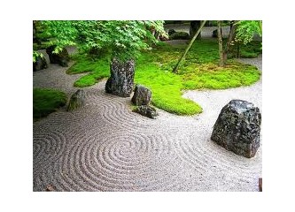Haiku .27: hasta