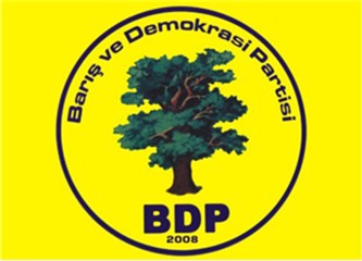 BDP'nin bedelliye bakışı