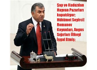 Özkan, Meclis Genel Kurulunda hükümetin tozunu attı
