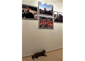 Van Depremi/ İklim/Hareket /Fotolar konuştu…