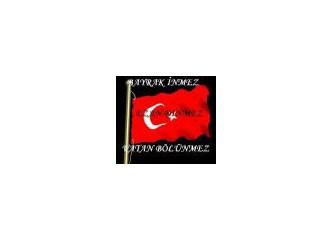Ne yapmak istiyorsun