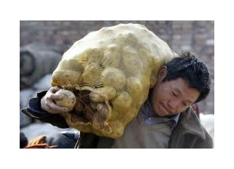 Erkek Olmak Zor Zanaat Birader