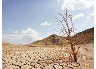 Küresel ısınmanını etkilerinden birisi kuraklık...