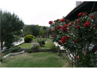 ''İşte gözünü sevdiğimin İzmir'i''