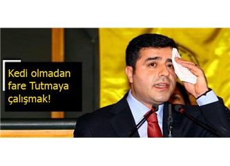 Kedi olmadan...