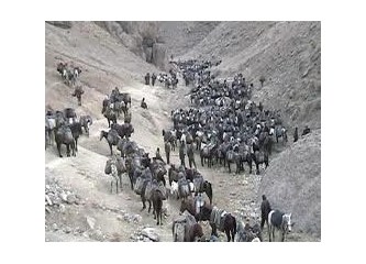 PKK Uludere’den kaçırdığı cesetleri getirir, ceset başına tazminat talep ederse