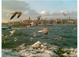 Denizin öbür ucundaki yabancı