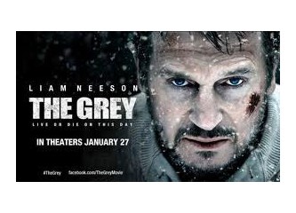 The Grey filmi
