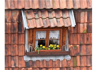 Kadınlar ve mutfak pencereleri