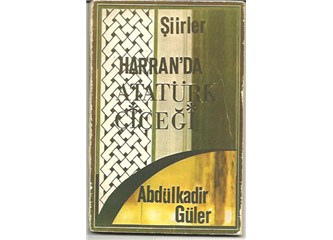 Abdülkadir Güler'e şiir
