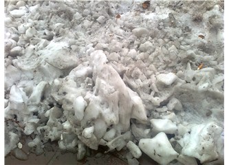 Kuşlar yağmur yağmaya gider