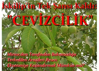 Sahipleri tarafından bakılmayan arazilerde resen cevizcilik nasıl yapılır?
