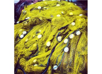 Biri balık mı dedi?