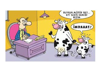Eğitim reformu