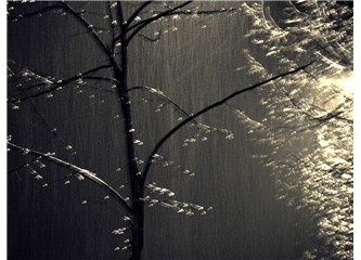 “Yağmurlu gecede bir adam geldi, dersin…”