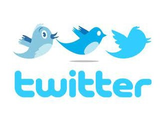 Twitter Denen Sosyal Medya Mecrası Üzerine Karalamalar