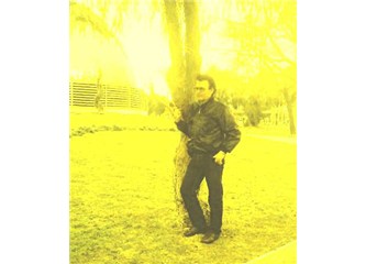 Şiir- şair - sevgi