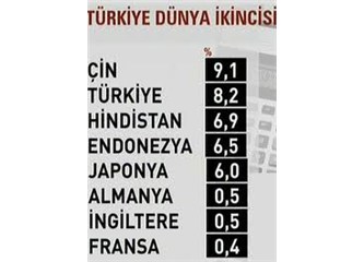 Dünyanın en hızlı ikinci ekonomisi Türkiye