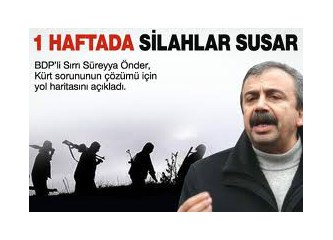Kürtler Ne İstiyor? Bölünmek mi, Bölünmemek mi?