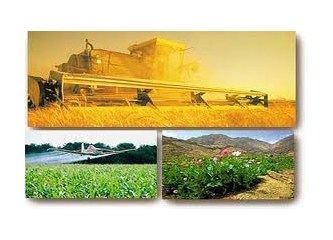 Gelecek tarım sektöründe