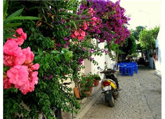 Bozcaada, aşk ve biz