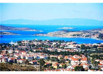 Foça'nın simgesi "Fok'lar" kayıp !