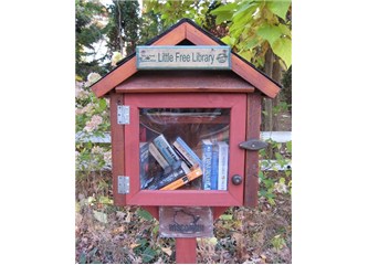 Bir karşı akım; little free library