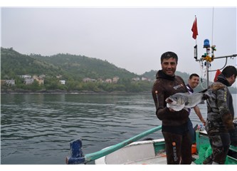 Zıpkın Şampiyonası güzel başladı güzel bitti