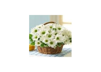 Artık hıyar deyip hakaret etmeyin