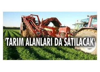 Satıyorum, satıyoorum, saa-attııım...!