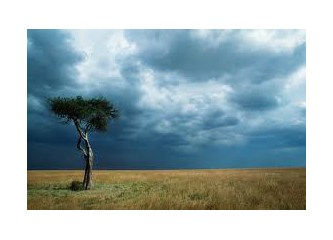 Süzme sözcükler 43: ( Haiku)