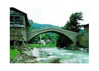 Vadinin habitatı ve imar planı