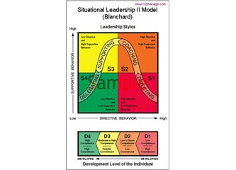 Durumsal liderlik nedir?