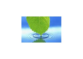 Dış güzellikten iç güzelliğe