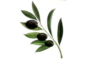 Savaş/ ma Barış