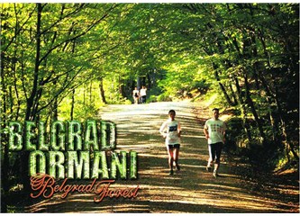 Çamlıca'ya Cami, Belgrad Ormanları ve İstanbul