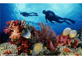 Tam uzmanlık tam istihdam