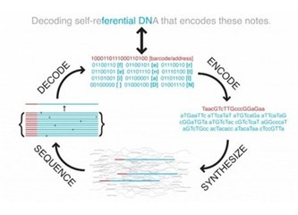 DNA'ya veri depolamak