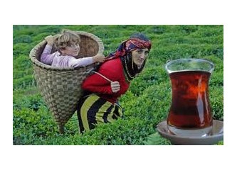 Çayın hikayesi