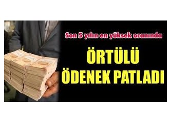 Son on yılda Örtülü ödenekde yaşanan patlamanın nedeni...
